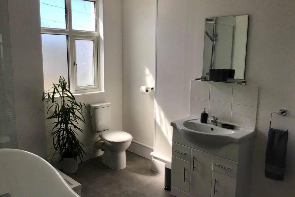 New Quay Large 5 Bed 3 Bath House 300 Meters From Beach And Restaurants מראה חיצוני תמונה