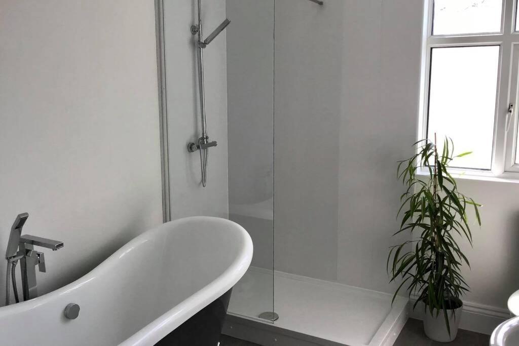 New Quay Large 5 Bed 3 Bath House 300 Meters From Beach And Restaurants מראה חיצוני תמונה